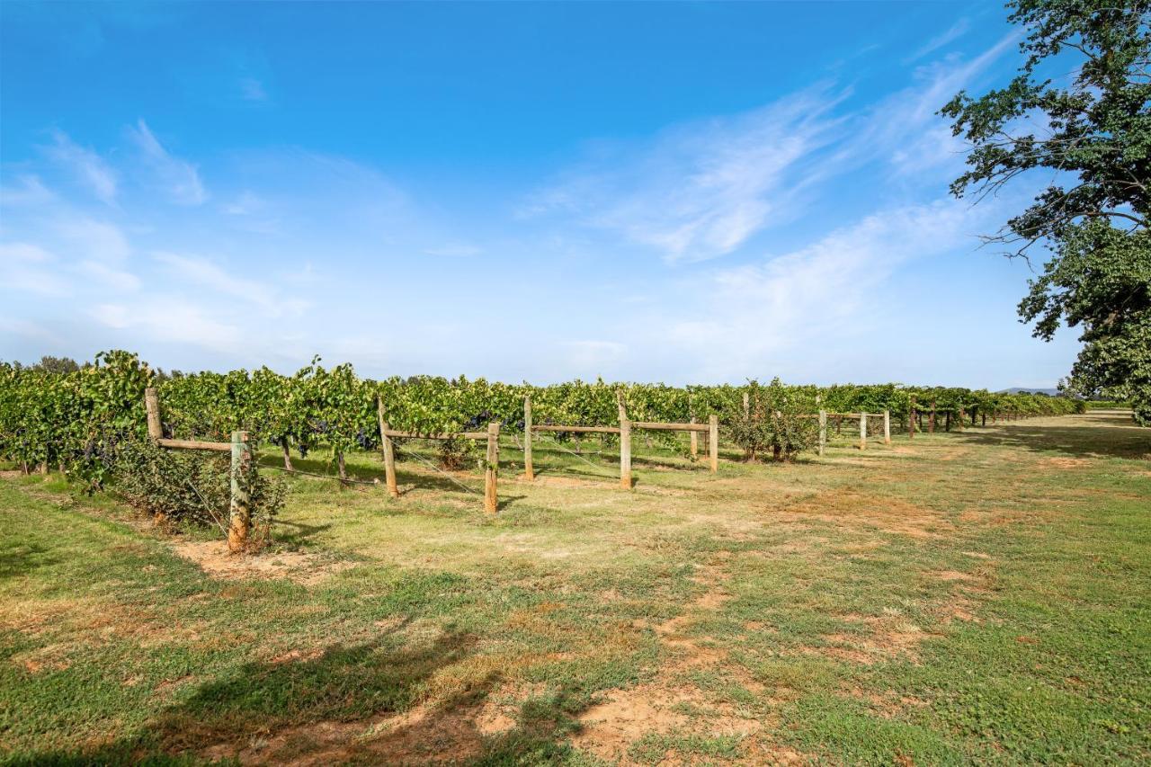 Milawa Vineyard Views - Guesthouse 1 Εξωτερικό φωτογραφία