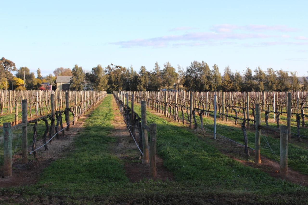 Milawa Vineyard Views - Guesthouse 1 Εξωτερικό φωτογραφία